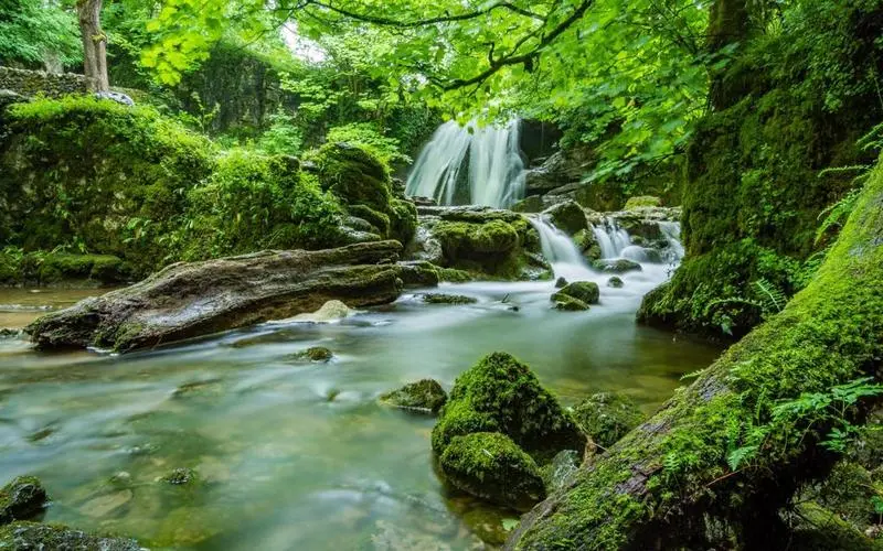 高标准高效